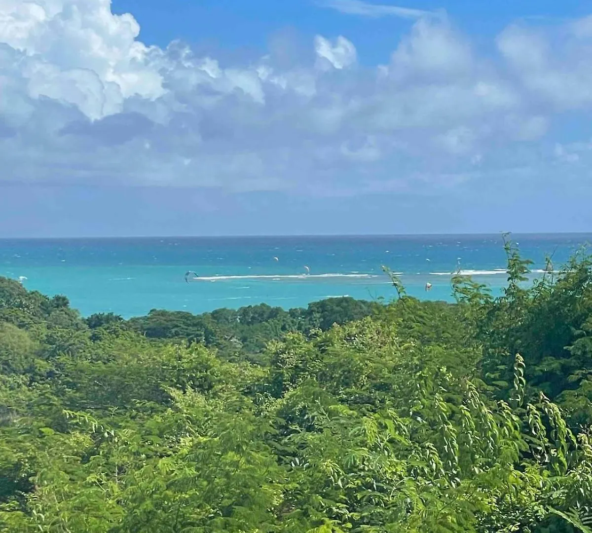 Appartement Bonheur Le Gosier  Guadeloupe